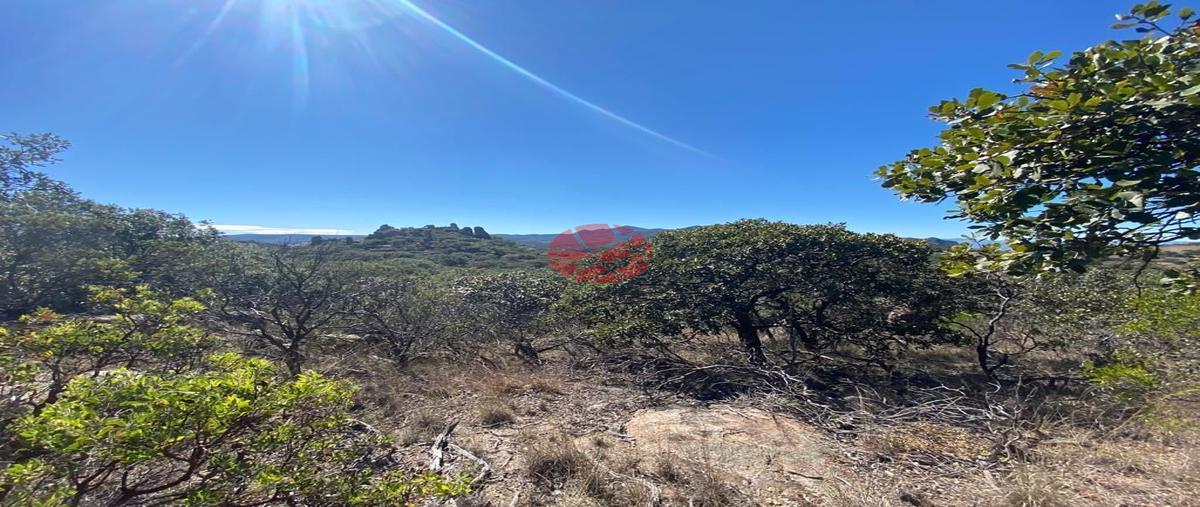 Foto de terreno comercial en venta en rancheria , el roble, aguascalientes, aguascalientes, 0 No. 04