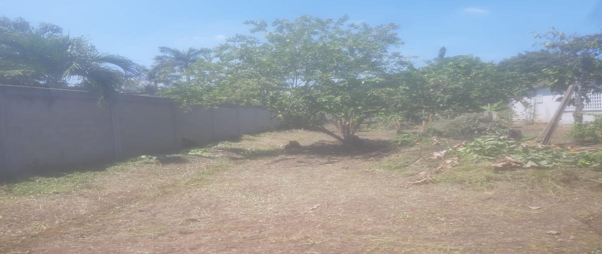Foto de terreno habitacional en venta en rancheria gonzalez primera sección, kilometro 156+500, carretera cardenas- villahermosa , 5 de mayo, cárdenas, tabasco, 25106891 No. 04