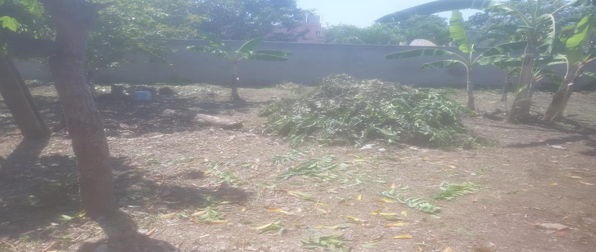 Foto de terreno habitacional en venta en rancheria gonzalez primera sección, kilometro 156+500, carretera cardenas- villahermosa , 5 de mayo, cárdenas, tabasco, 25106891 No. 05