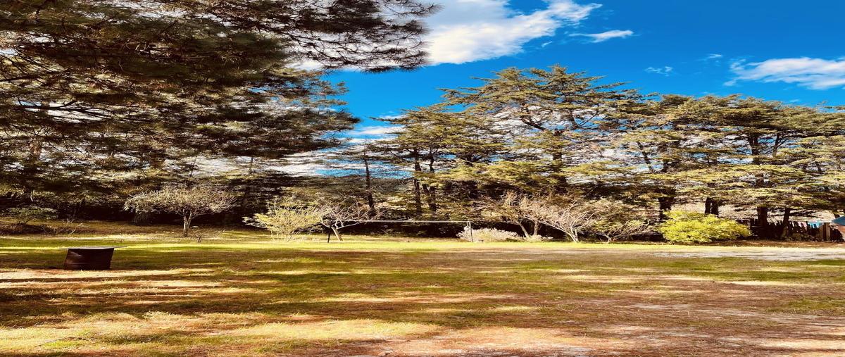 Foto de casa en venta en ranchería guadalupe , teopisca, teopisca, chiapas, 27007784 No. 04