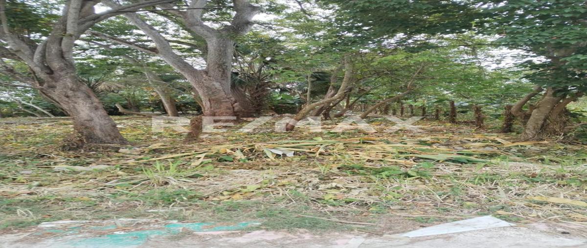 Foto de terreno habitacional en rancheria ixtacomitan 5a sección , ixtacomitan 4a sección, centro, tabasco, 0 foto 02 Foto de terreno habitacional en venta en rancheria ixtacomitan 5a sección , ixtacomitan 4a sección, centro, tabasco, 0 No. 02