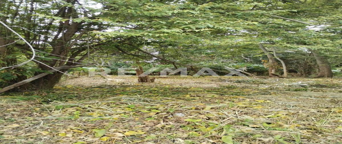 Foto de terreno habitacional en rancheria ixtacomitan 5a sección , ixtacomitan 4a sección, centro, tabasco, 0 foto 04 Foto de terreno habitacional en venta en rancheria ixtacomitan 5a sección , ixtacomitan 4a sección, centro, tabasco, 0 No. 04