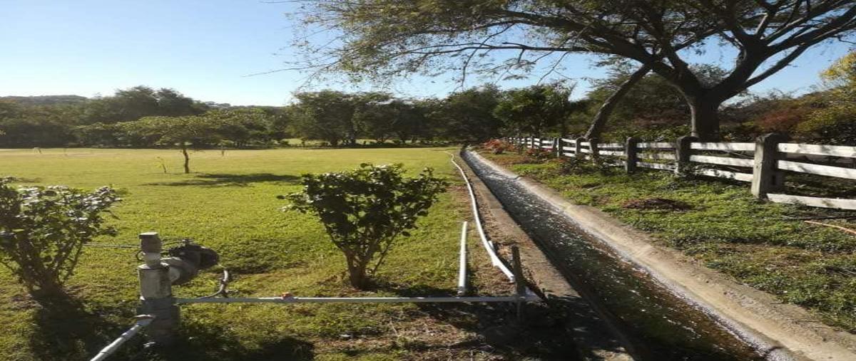 Foto de rancho en venta en ranchería la caja , comala, comala, colima, 28554318 No. 04