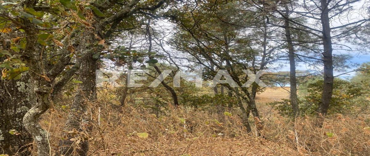 Foto de terreno habitacional en venta en ranchería navería , pío xii, huimilpan, querétaro, 29445233 No. 03