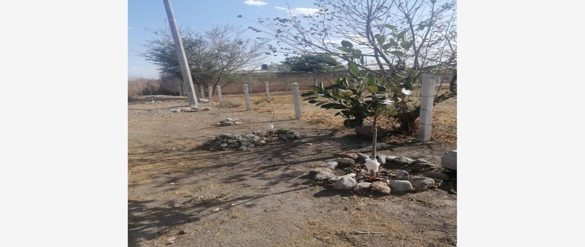 Foto de terreno habitacional en venta en ranchería san antonio , temixco centro, temixco, morelos, 27623899 No. 01