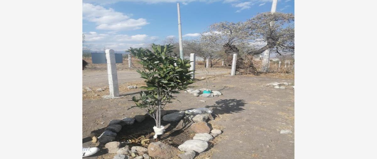 Foto de terreno habitacional en venta en ranchería san antonio , temixco centro, temixco, morelos, 27623899 No. 03