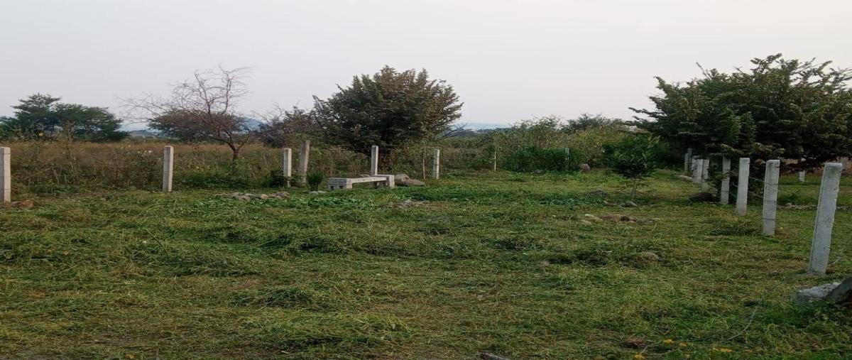 Foto de terreno habitacional en venta en ranchería san antonio , temixco centro, temixco, morelos, 27623899 No. 04