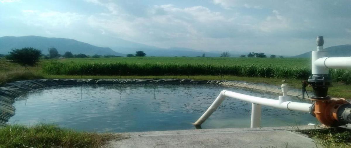 Foto de rancho en venta en rancho agricola , tuxpan centro, tuxpan, jalisco, 0 No. 04