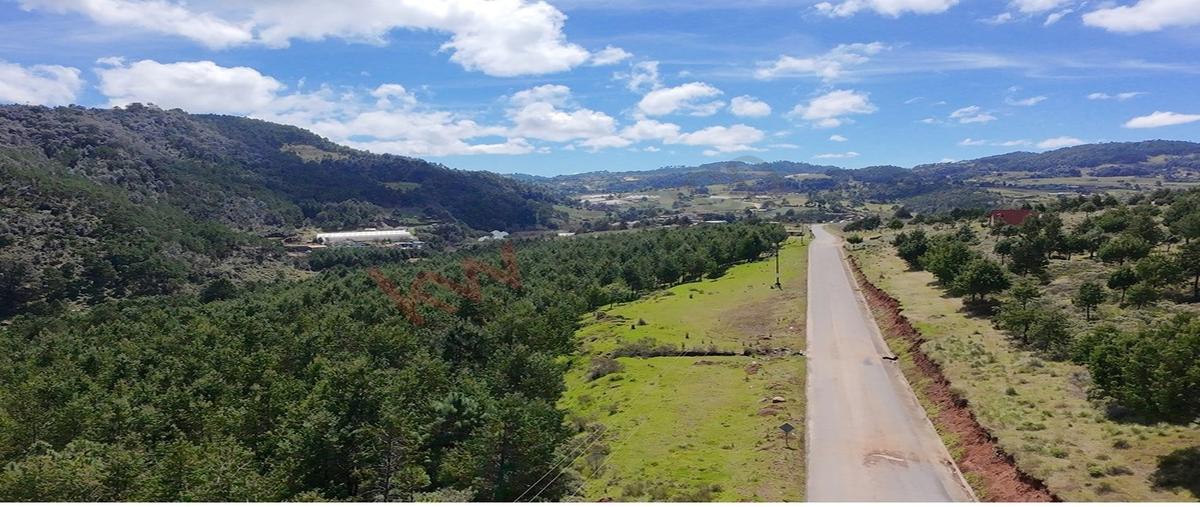 Foto de terreno habitacional en venta en rancho agualinda , tlamimilolpa, acaxochitlán, hidalgo, 0 No. 04