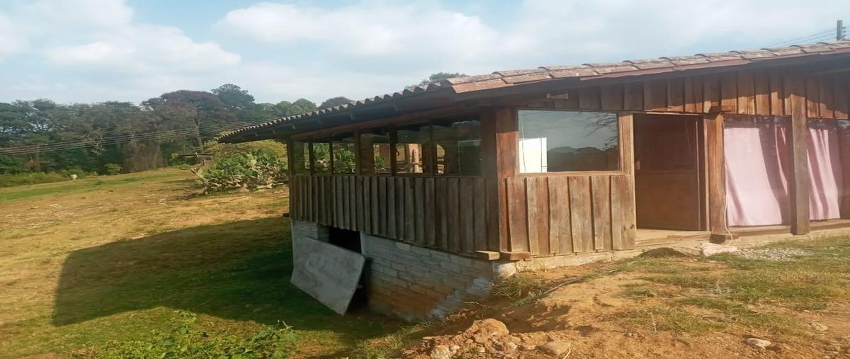 Foto de casa en rancho avandaro , avándaro, valle de bravo, méxico, 19490273 foto 03 Foto de casa en renta en rancho avandaro , avándaro, valle de bravo, méxico, 19490273 No. 03