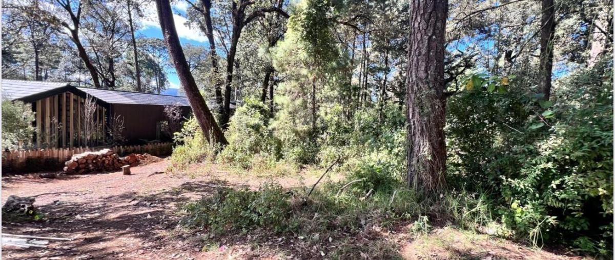 Foto de terreno habitacional en venta en rancho avándaro , avándaro, valle de bravo, méxico, 29935678 No. 03