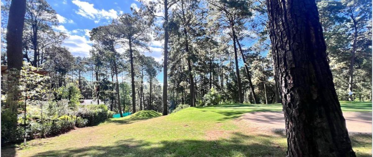 Foto de terreno habitacional en venta en rancho avándaro , avándaro, valle de bravo, méxico, 29935678 No. 05