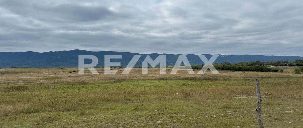 Foto de terreno comercial en rancho bambino , la milpa, ciudad valles, san luis potosí, 29210683 foto 03 Foto de terreno comercial en venta en rancho bambino , la milpa, ciudad valles, san luis potosí, 29210683 No. 03