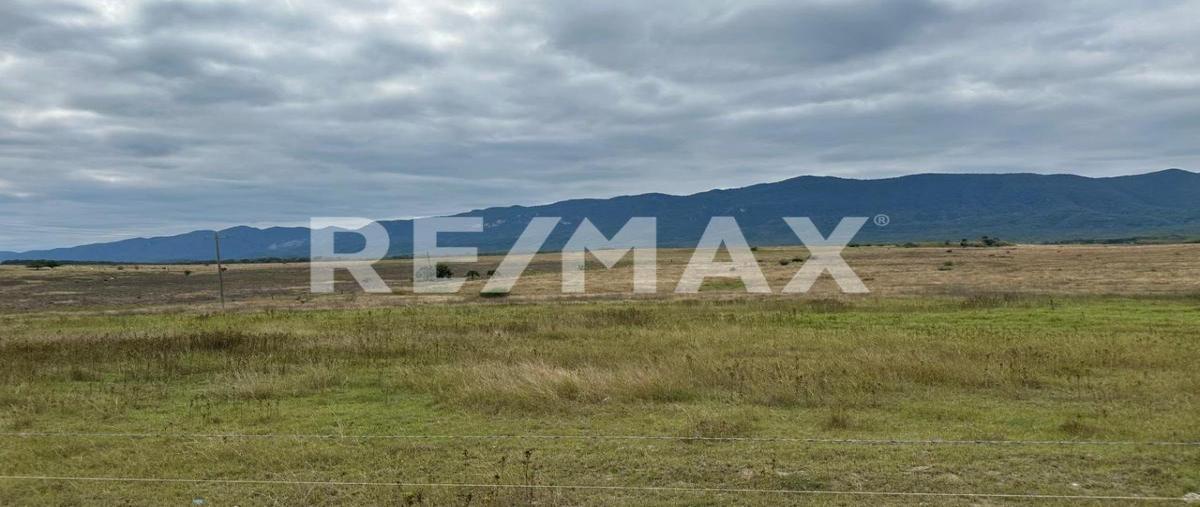 Foto de terreno comercial en rancho bambino , la milpa, ciudad valles, san luis potosí, 29210683 foto 04 Foto de terreno comercial en venta en rancho bambino , la milpa, ciudad valles, san luis potosí, 29210683 No. 04