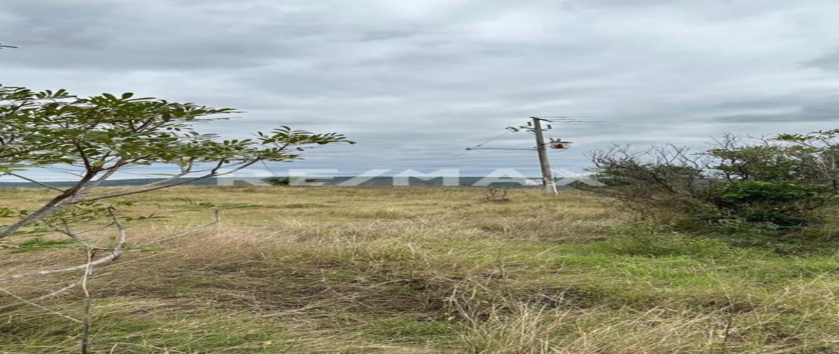 Foto de terreno comercial en rancho bambino , la milpa, ciudad valles, san luis potosí, 29210683 foto 05 Foto de terreno comercial en venta en rancho bambino , la milpa, ciudad valles, san luis potosí, 29210683 No. 05