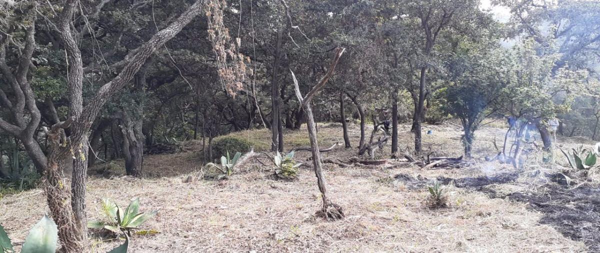 Foto de terreno habitacional en venta en  , rancho blanco ejido de espíritu santo, atizapán de zaragoza, méxico, 17779500 No. 03