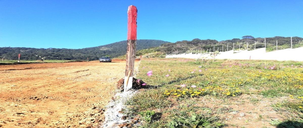 Foto de terreno habitacional en venta en  , rancho blanco ejido de espíritu santo, atizapán de zaragoza, méxico, 25058029 No. 05