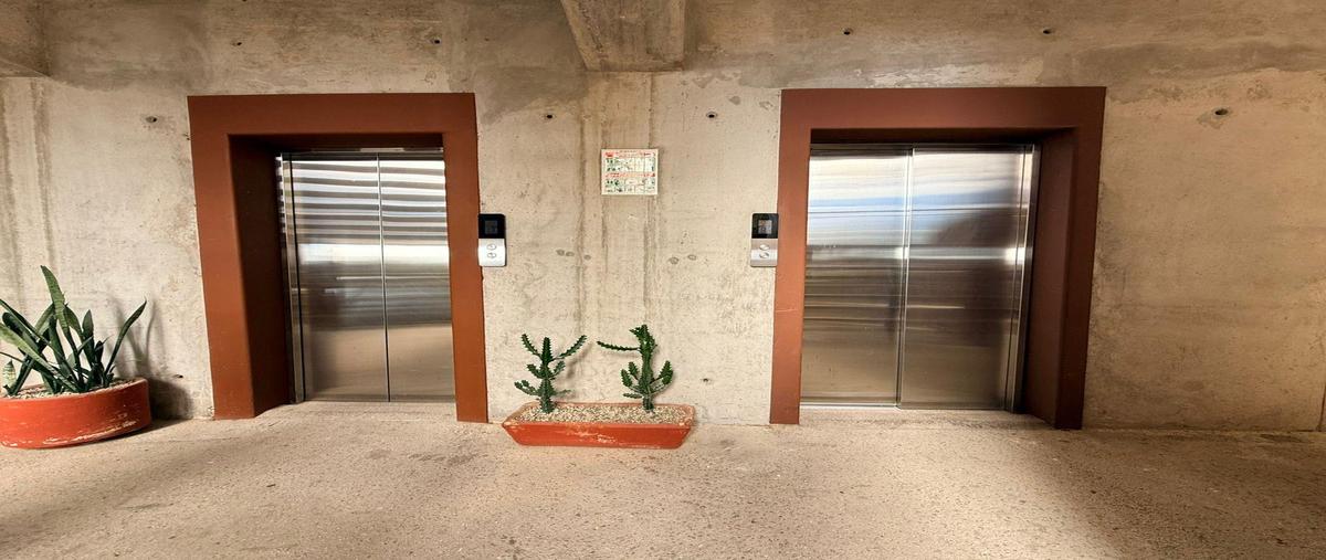 Foto de departamento en renta en  , rancho cerro colorado, los cabos, baja california sur, 0 No. 04