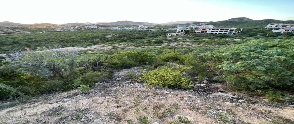 Foto de terreno habitacional en rancho cerro colorado lote 5, rancho cerro colorado, los cabos, baja california sur, 26329083 foto 02 Foto de terreno habitacional en venta en rancho cerro colorado lote 5, rancho cerro colorado, los cabos, baja california sur, 26329083 No. 02
