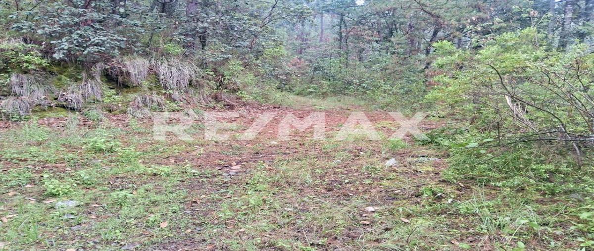 Foto de terreno habitacional en rancho cieneguillas , cieneguillas de gonzález (cieneguillas), temascaltepec, méxico, 0 foto 02 Foto de terreno habitacional en venta en rancho cieneguillas , cieneguillas de gonzález (cieneguillas), temascaltepec, méxico, 0 No. 02