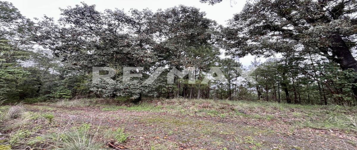 Foto de terreno habitacional en rancho cieneguillas , cieneguillas de gonzález (cieneguillas), temascaltepec, méxico, 0 foto 05 Foto de terreno habitacional en venta en rancho cieneguillas , cieneguillas de gonzález (cieneguillas), temascaltepec, méxico, 0 No. 05