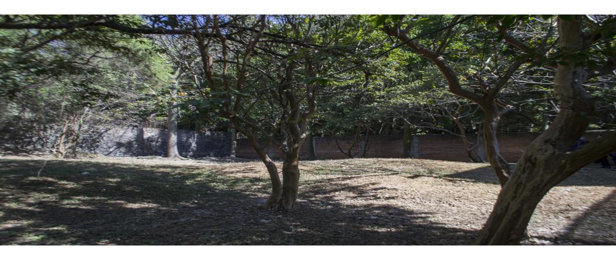 Foto de terreno habitacional en venta en  , rancho cortes, cuernavaca, morelos, 18119251 No. 05