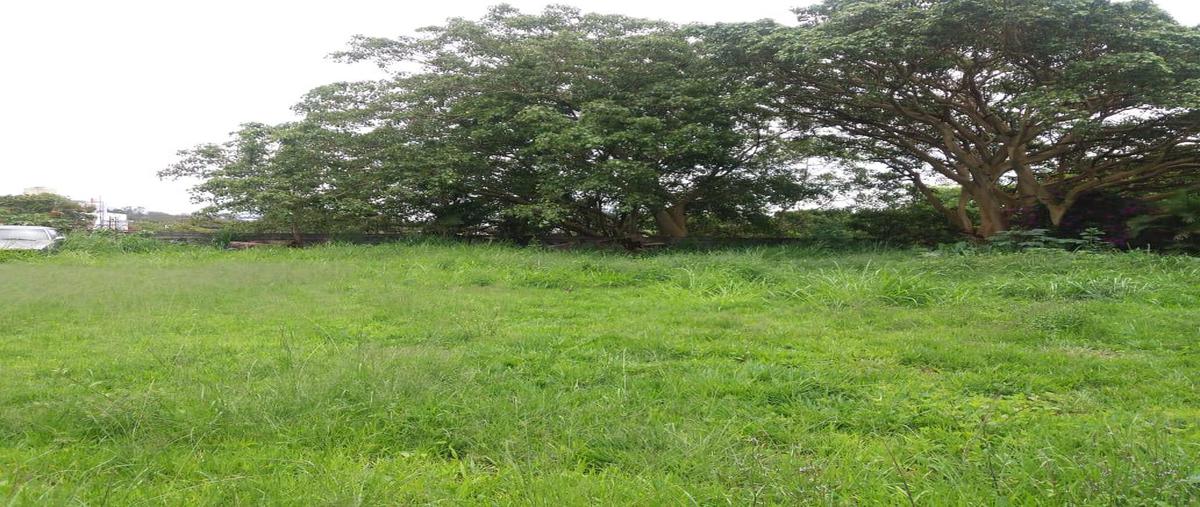 Foto de terreno habitacional en venta en  , rancho cortes, cuernavaca, morelos, 0 No. 05