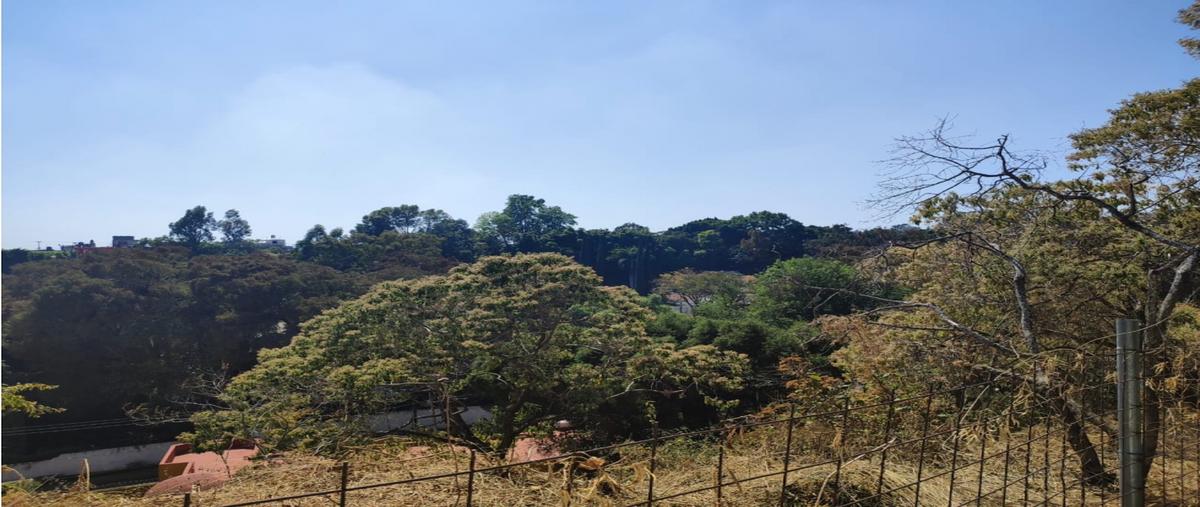 Foto de terreno habitacional en venta en  , rancho cortes, cuernavaca, morelos, 0 No. 03