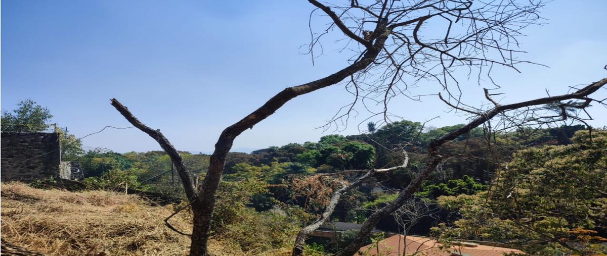 Foto de terreno habitacional en venta en  , rancho cortes, cuernavaca, morelos, 0 No. 04