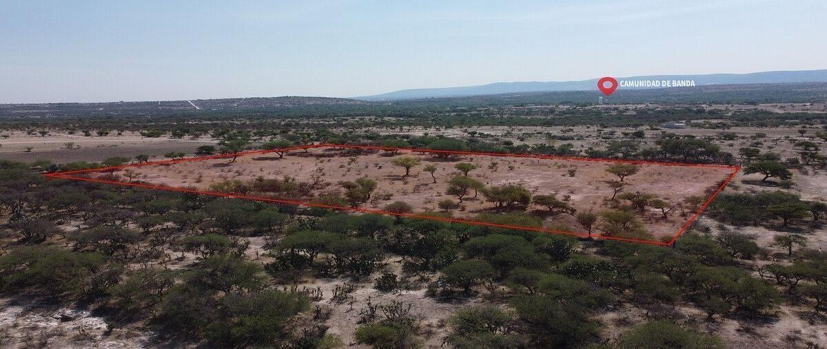 Foto de terreno habitacional en venta en rancho de banda , banda, san miguel de allende, guanajuato, 28276149 No. 05