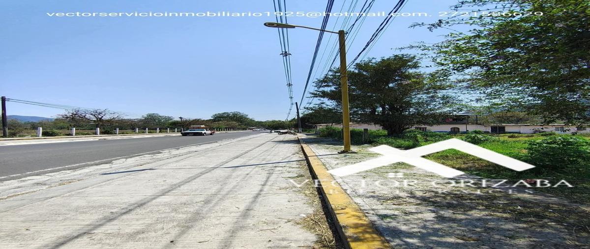 Foto de terreno habitacional en venta en  , rancho de pala, ixhuatlancillo, veracruz de ignacio de la llave, 30154365 No. 04