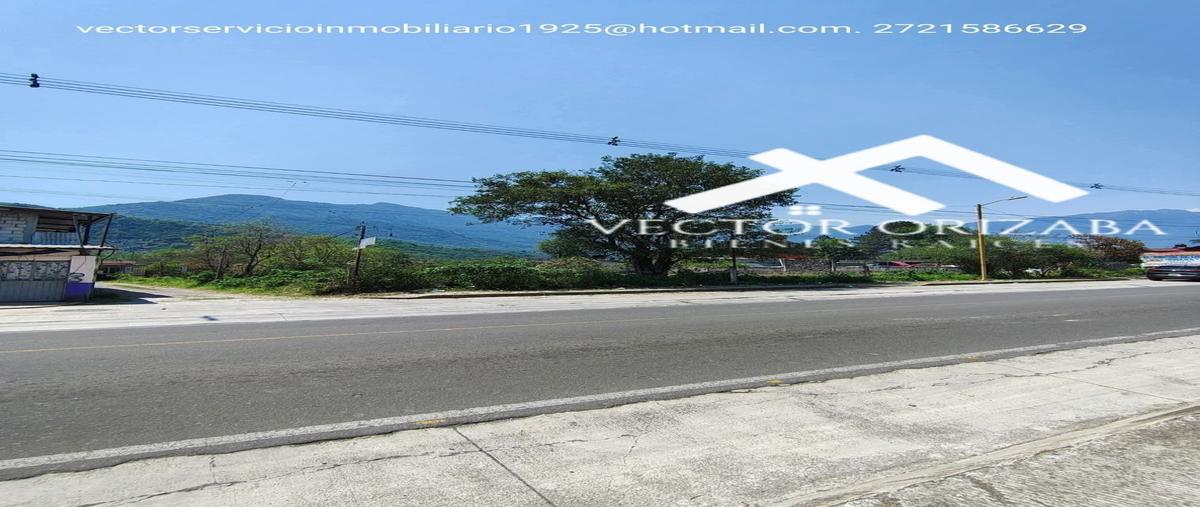 Foto de terreno habitacional en venta en  , rancho de pala, ixhuatlancillo, veracruz de ignacio de la llave, 30154365 No. 05