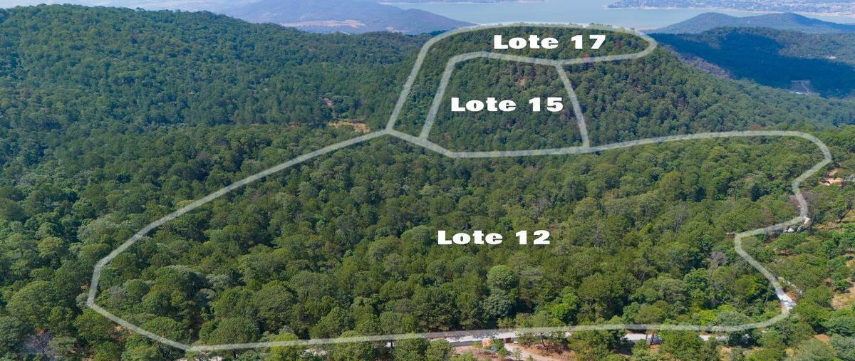 Foto de terreno habitacional en rancho de paso hondo , avándaro, valle de bravo, méxico, 28114008 foto 02 Foto de terreno habitacional en venta en rancho de paso hondo , avándaro, valle de bravo, méxico, 28114008 No. 02