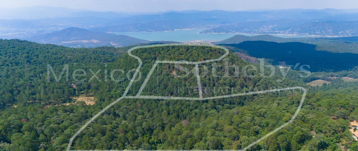 Foto de terreno habitacional en rancho de paso hondo , avándaro, valle de bravo, méxico, 28114008 foto 04 Foto de terreno habitacional en venta en rancho de paso hondo , avándaro, valle de bravo, méxico, 28114008 No. 04