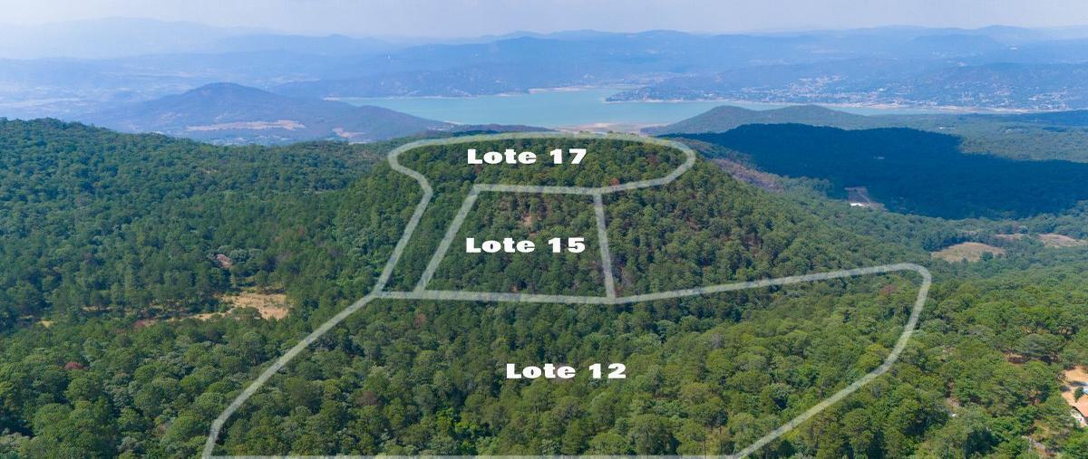 Foto de terreno habitacional en rancho de paso hondo , avándaro, valle de bravo, méxico, 28114008 foto 05 Foto de terreno habitacional en venta en rancho de paso hondo , avándaro, valle de bravo, méxico, 28114008 No. 05