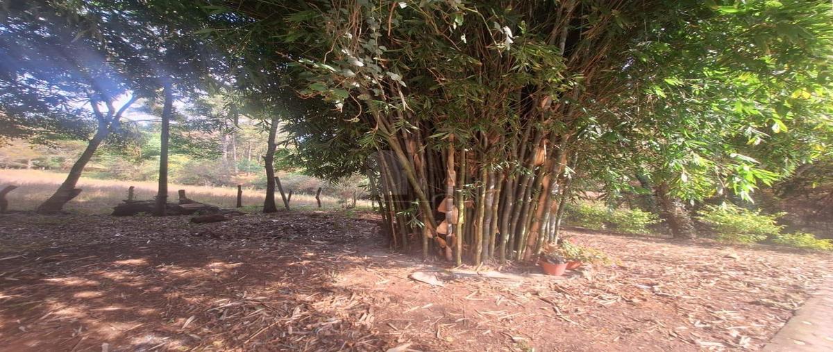 Foto de casa en rancho del paredón 1, la laja, acuitzio, michoacán de ocampo, 0 foto 04 Foto de casa en venta en rancho del paredón 1, la laja, acuitzio, michoacán de ocampo, 0 No. 04