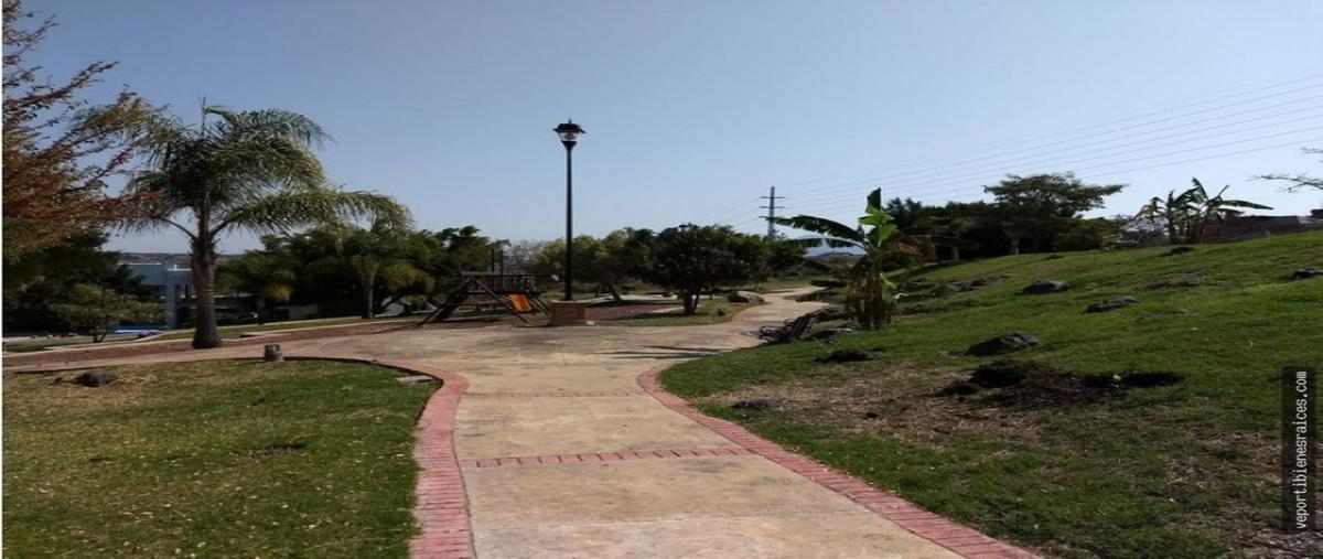 Foto de terreno habitacional en venta en  , rancho dorado, sahuayo, michoacán de ocampo, 0 No. 04