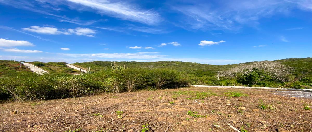 Foto de terreno habitacional en "rancho dos santos" lote #2 manzana 3 , san francisquito, mazatlán, sinaloa, 27500635 foto 03 Foto de terreno habitacional en venta en "rancho dos santos" lote #2 manzana 3 , san francisquito, mazatlán, sinaloa, 27500635 No. 03