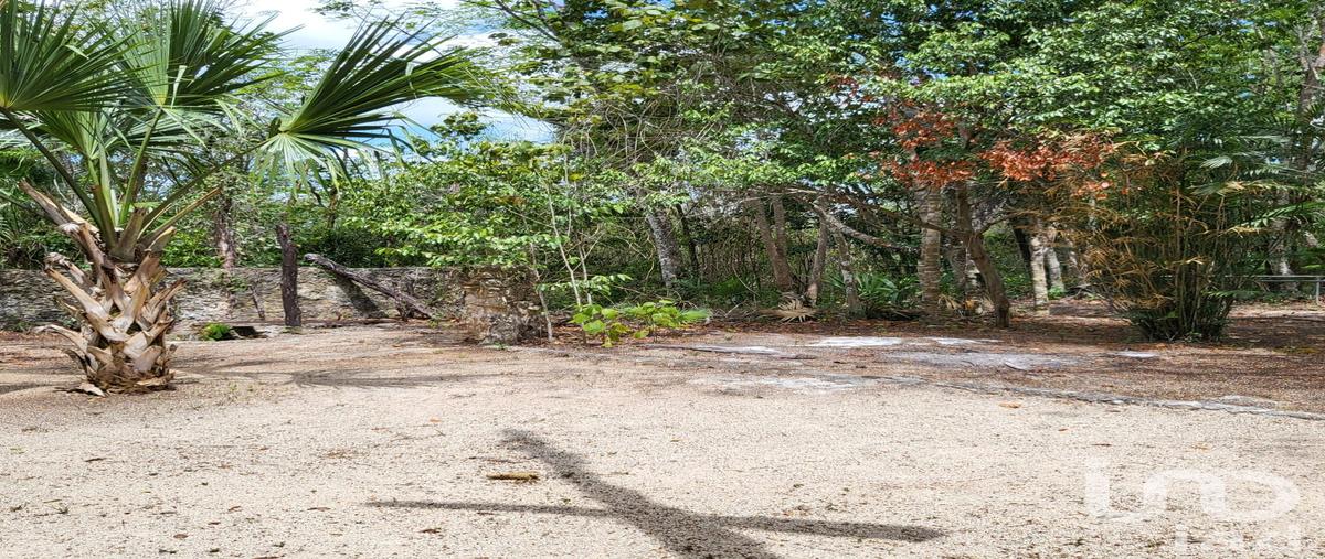 Foto de terreno habitacional en venta en rancho ecologico wotoch , leona vicario, puerto morelos, quintana roo, 28721893 No. 03