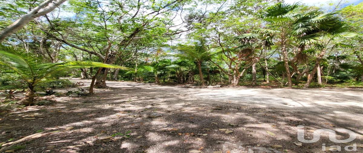 Foto de terreno habitacional en venta en rancho ecologico wotoch , leona vicario, puerto morelos, quintana roo, 28721893 No. 04