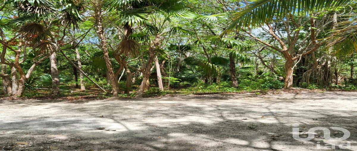 Foto de terreno habitacional en venta en rancho ecologico wotoch , leona vicario, puerto morelos, quintana roo, 28721893 No. 05