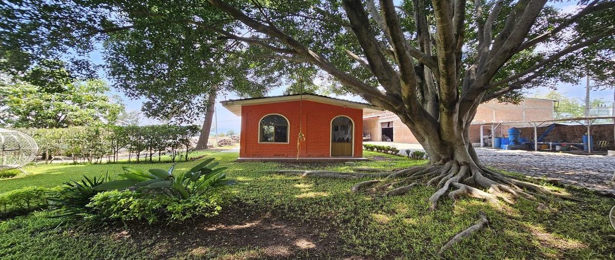 Foto de terreno habitacional en venta en rancho el camichin , ameca centro, ameca, jalisco, 28387626 No. 04