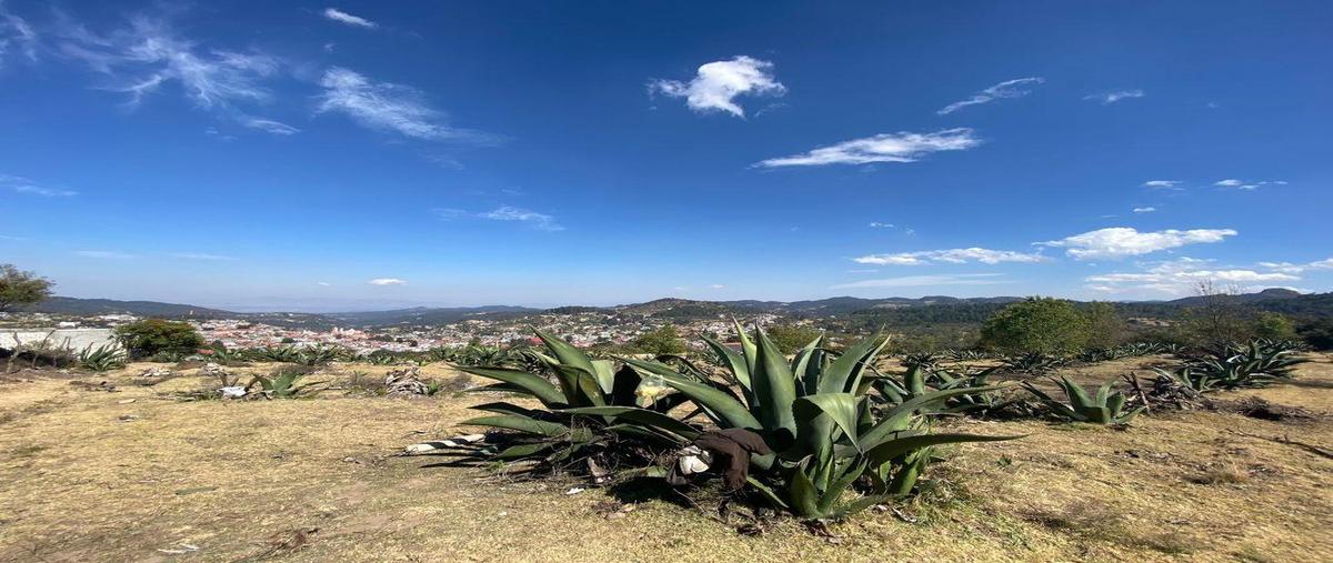 Foto de terreno habitacional en venta en rancho el capulin fraccion 1, mineral del monte centro, mineral del monte, hidalgo, 26038282 No. 04
