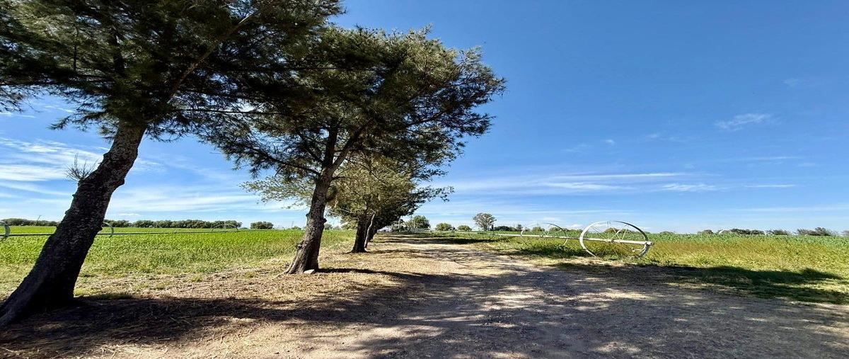 Foto de rancho en venta en rancho el cueto , encarnación de diaz, encarnación de díaz, jalisco, 0 No. 03