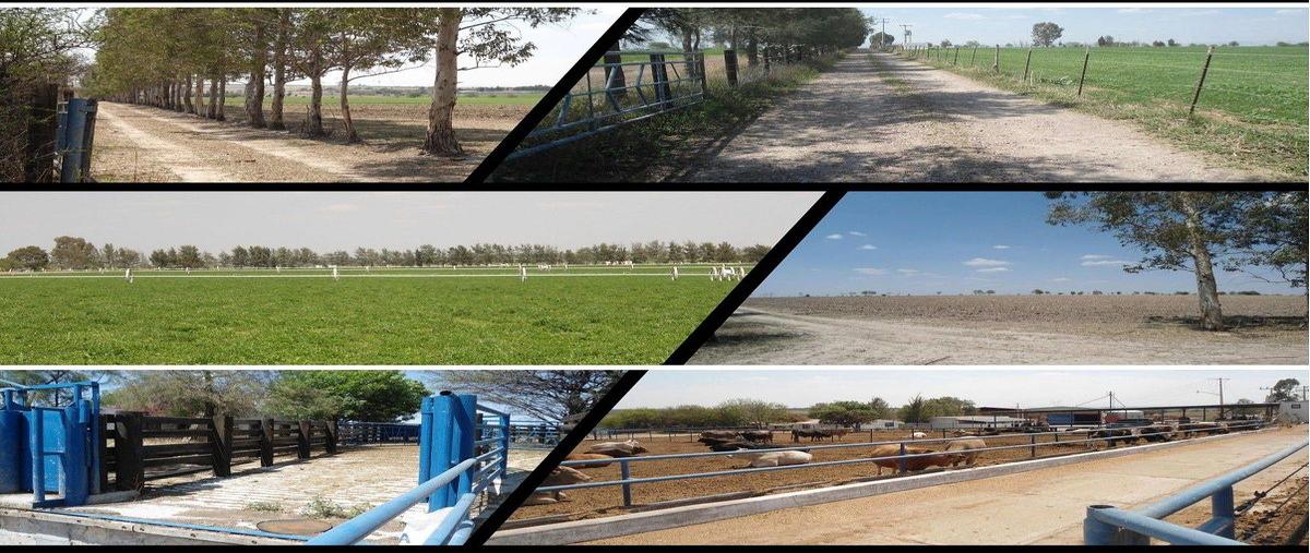 Foto de rancho en venta en rancho el cueto , encarnación de diaz, encarnación de díaz, jalisco, 0 No. 04