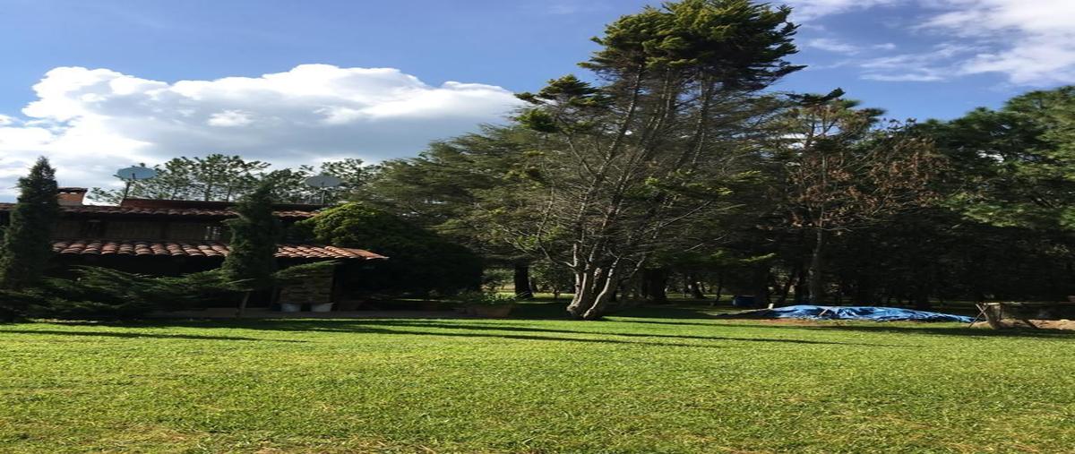 Foto de casa en venta en rancho el jaguey , tapalpa, tapalpa, jalisco, 29939866 No. 03