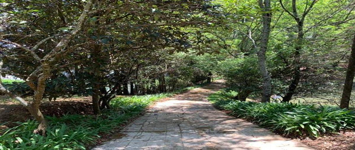 Foto de rancho en venta en rancho el mango , villa guerrero, villa guerrero, méxico, 25021743 No. 04