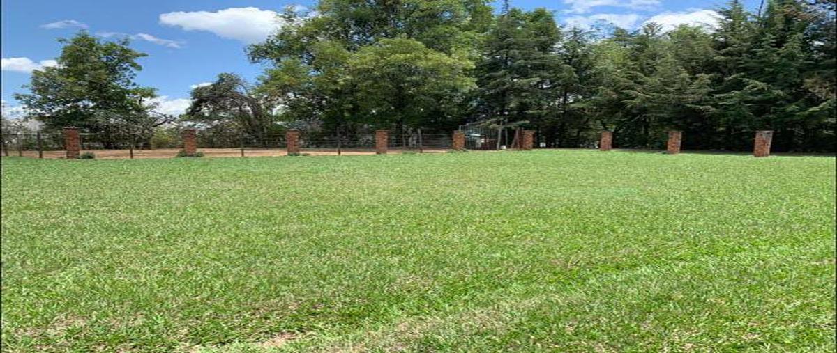 Foto de terreno industrial en venta en rancho el mango , villa guerrero, villa guerrero, méxico, 25047224 No. 03
