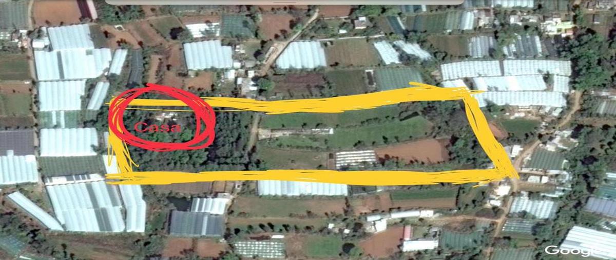 Foto de terreno industrial en venta en rancho el mango , villa guerrero, villa guerrero, méxico, 25047224 No. 04
