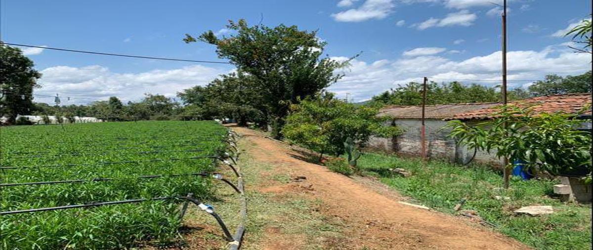 Foto de terreno industrial en venta en rancho el mango , villa guerrero, villa guerrero, méxico, 25047226 No. 04